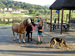 DSC02522.JPG