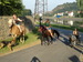 DSC02524.JPG