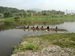 DSC02560.jpg